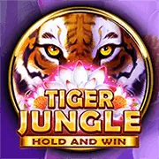 Trải nghiệm Slot Game trên di động